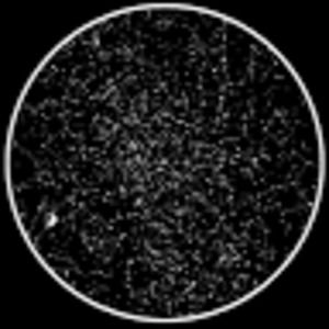 Meet your Posher, Lennon